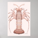 Recherche de homard vintage posters Antique