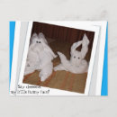 Suche nach im gesicht postkarten Spaß