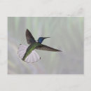 Suche nach 2 vögel postkarten Tierwelt
