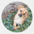 Suche nach puggles aufkleber Schnallen