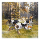 Suche nach foxhound poster Tiere