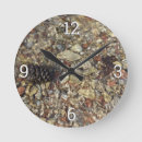 Recherche de cailloux horloges Pierre
