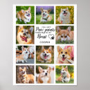 Suche nach pet memorial poster Erinnerung