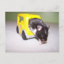 Suche nach lustiger hamster postkarten Tiere
