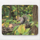 Suche nach eichel mousepads Blatt