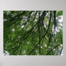 Suche nach entschlossen poster Grün