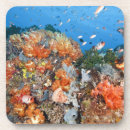 Suche nach indonesien untersetzer Unterwasser