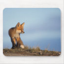 Suche nach säugetiere mousepads Rotfuchs