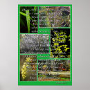 Suche nach niv poster Christlich