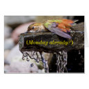 Suche nach vogelkunde postkarten Birdnerd