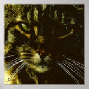 Suche nach katzenartig poster Tierisch