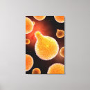 Suche nach protozoen poster Mikrobe