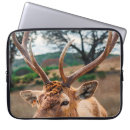 Suche nach hirsch laptop schutzhüllen Natur