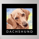 Recherche de lisse art Moderne