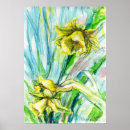 Suche nach gelbe narzissen blumen poster Daffodil