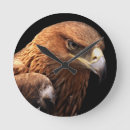 Recherche de agrafe posters Oiseau