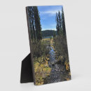 Suche nach elche fotoplatten Wald