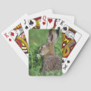 Recherche de comportement jeux de cartes Faune