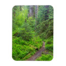 Suche nach olympische magnete Wandern