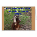 Recherche de gym vœux cartes Animal