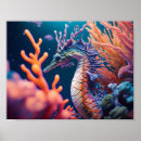 Recherche de dragon de mer Seadragon