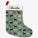 Recherche de labrador de noël chaussette de noël Laboratoire noir