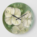 Recherche de hortensias horloges Nature