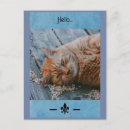 Recherche de escargot et chat cartes postales Passage