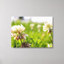 Suche nach feld fotodruck Blume