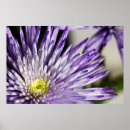 Suche nach digitalfotografie poster Kunstfotografie