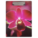 Suche nach orchidee klemmbrett Blüte
