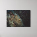 Suche nach seeanemonen poster Natur