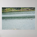 Recherche de canards posters Été