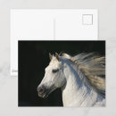 Suche nach stallion postkarten Grau