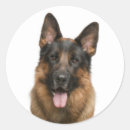 Suche nach deutscher schäferhund aufkleber Hunde