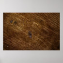 Suche nach baumstamm poster Textur