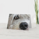 Suche nach hundefreunde karten Spaß