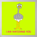 Recherche de ostrich posters Animal