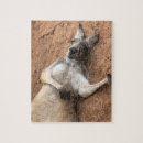 Suche nach känguru puzzle Natur