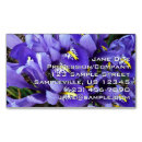 Suche nach iris visitenkarten Quelle