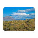 Suche nach patagonien magnete Im freien