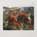 Suche nach sockeye poster Laichen
