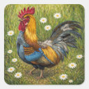 Recherche de coq coloré autocollants Nature