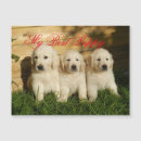 Recherche de petanque vœux cartes Chiot