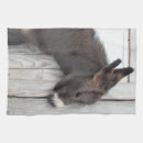 Recherche de âne cuisine linges Mule