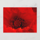 Suche nach poppy postkarten Sommer