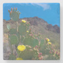 Suche nach tucson untersetzer Südwesten