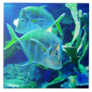 Recherche de poissons tropicaux carreaux Bleu