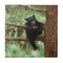 Suche nach umwelt fliesen Wald