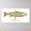 Recherche de trout posters Glace